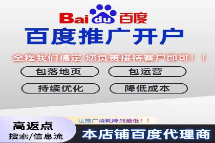竞价广告赚钱之道：百度案例解析